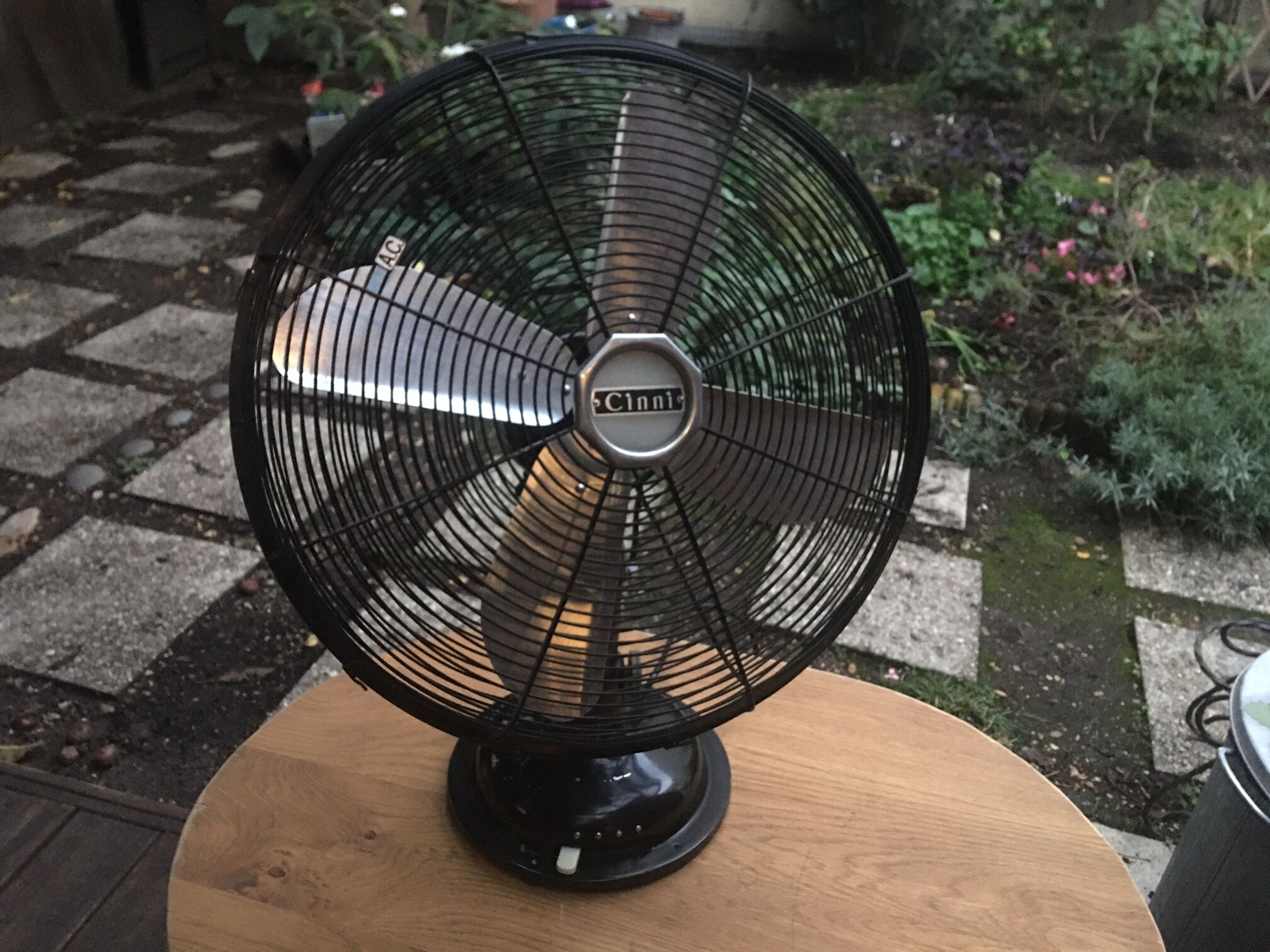 Cinni fans, 50s, vintage