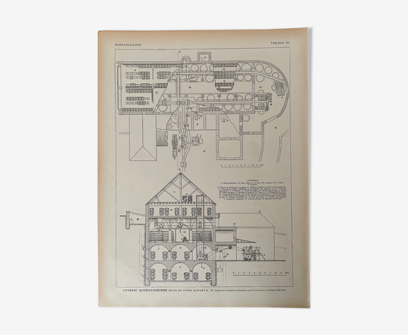 Lithograph on the vinification of 1921