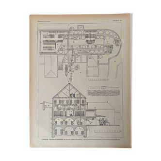 Lithograph on the vinification of 1921