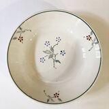 Deep plates, Saint-Amand earthenware, Bill model