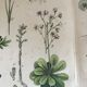 19th 32x42 botanical plank