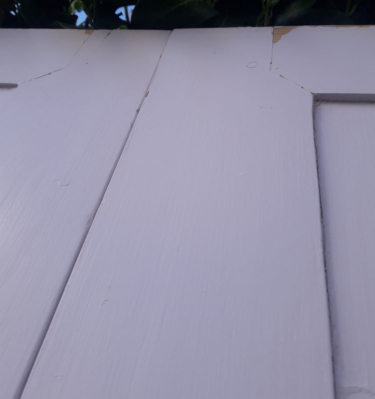 Pair of doors 229,5x110cm closet