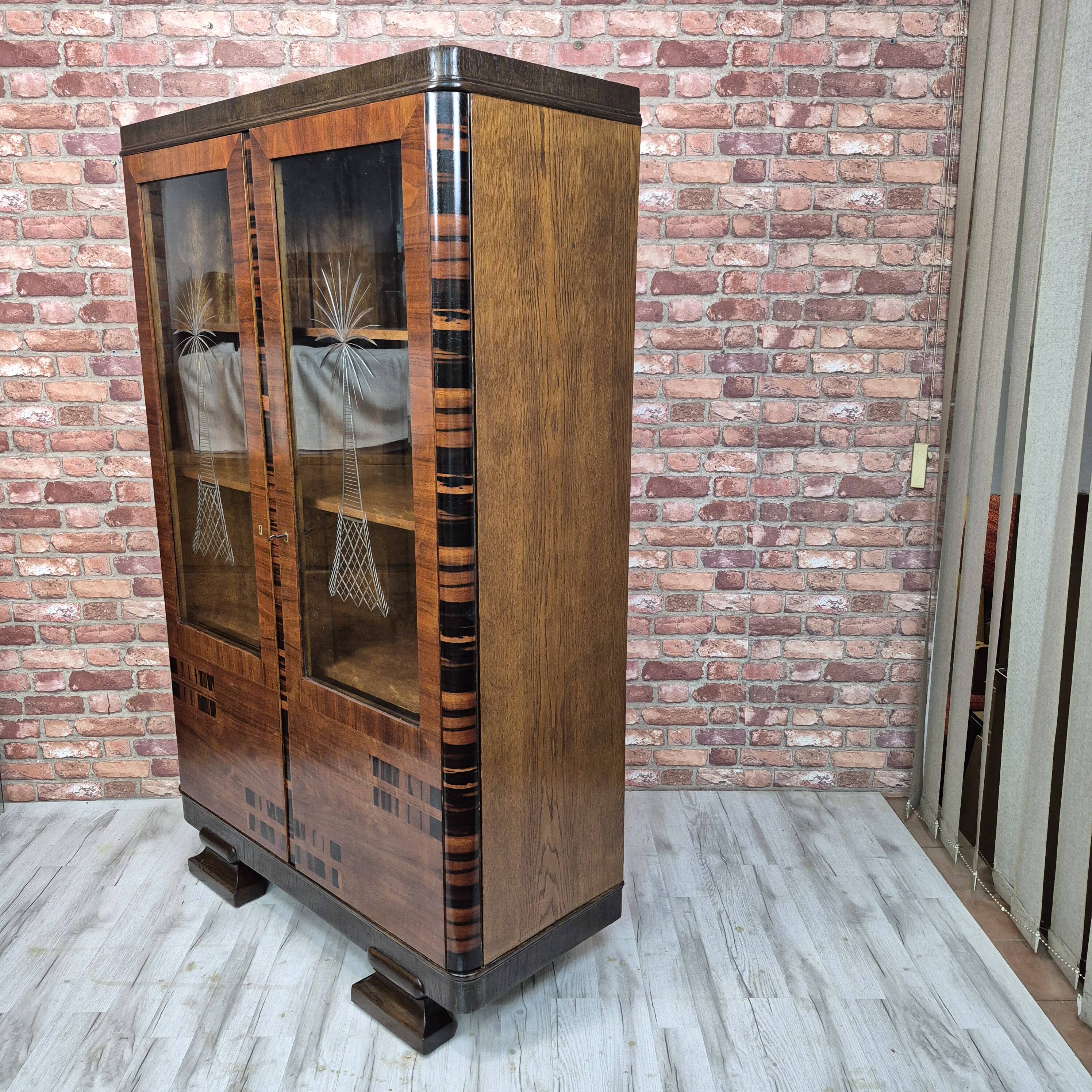 Art Deco Display Cabinet in Caucasian Walnut, Macassar Ebony and Oak, c. 19
