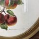 Affiche botanique Malus Communis encadrée