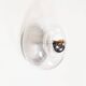 Rare Murano glass large 'Donut' wall lamp by Cosack Leuchten