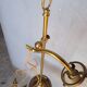 Tulip swan neck desk lamp in frosted glass