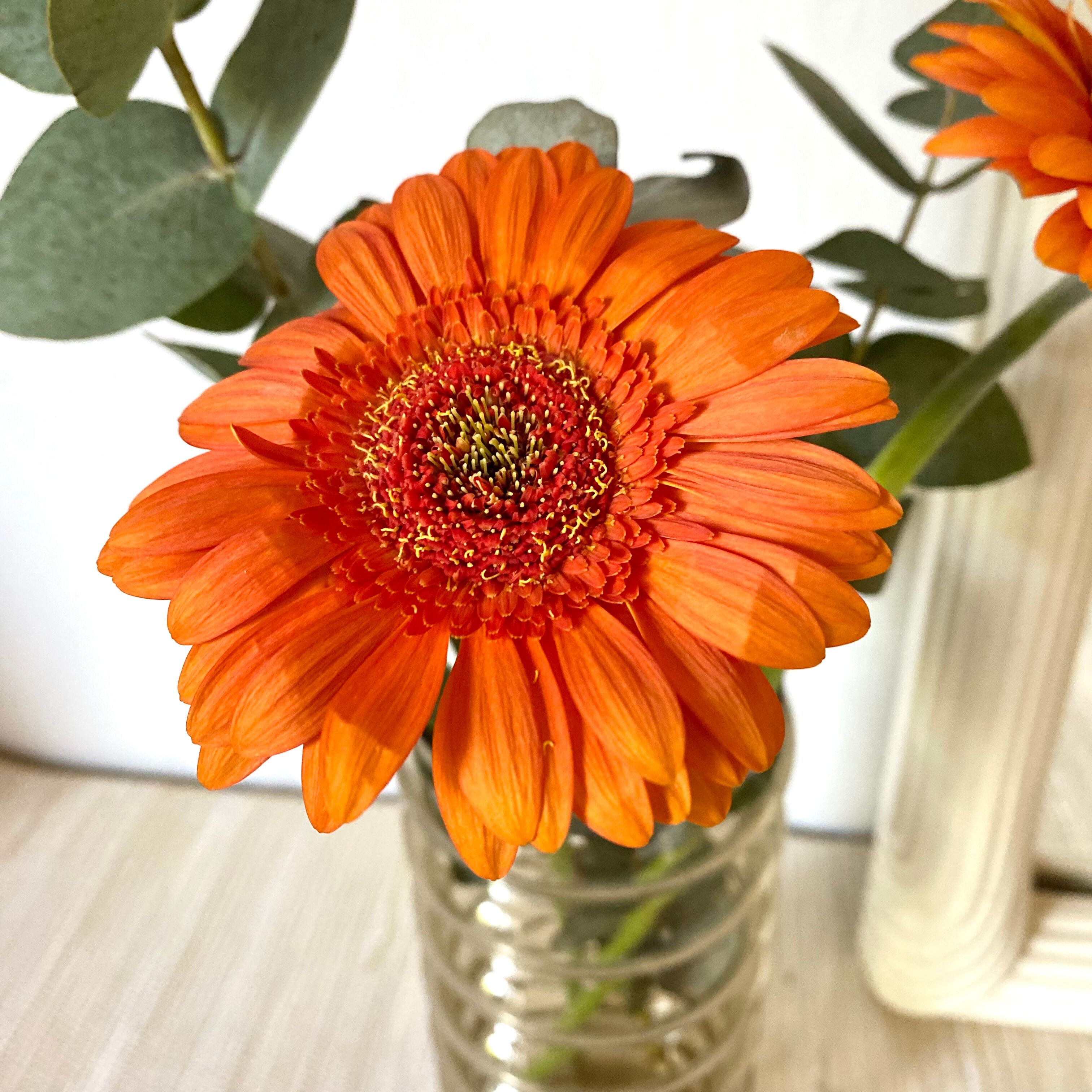 Vintage vase high in smoked glass