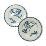 Duo dessert plates