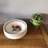Set of 8 hollow plates in earthenware
