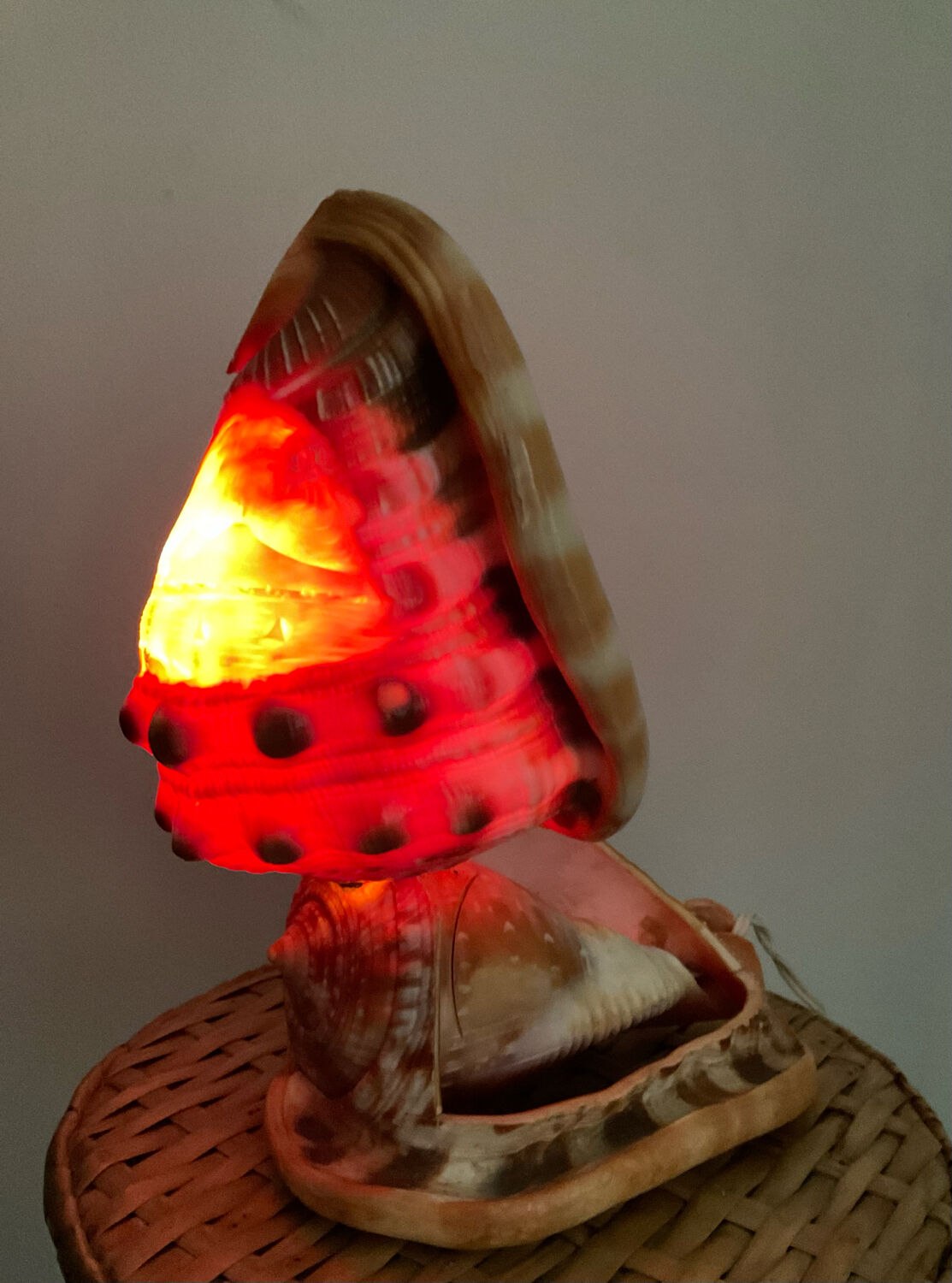 Vintage shell lamp from the 50s-60s