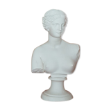 Ancient Aphrodite resin bust