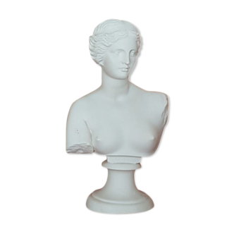 Ancient Aphrodite resin bust