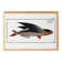 Poster about the flying fish, based on an old engraving from 1746.