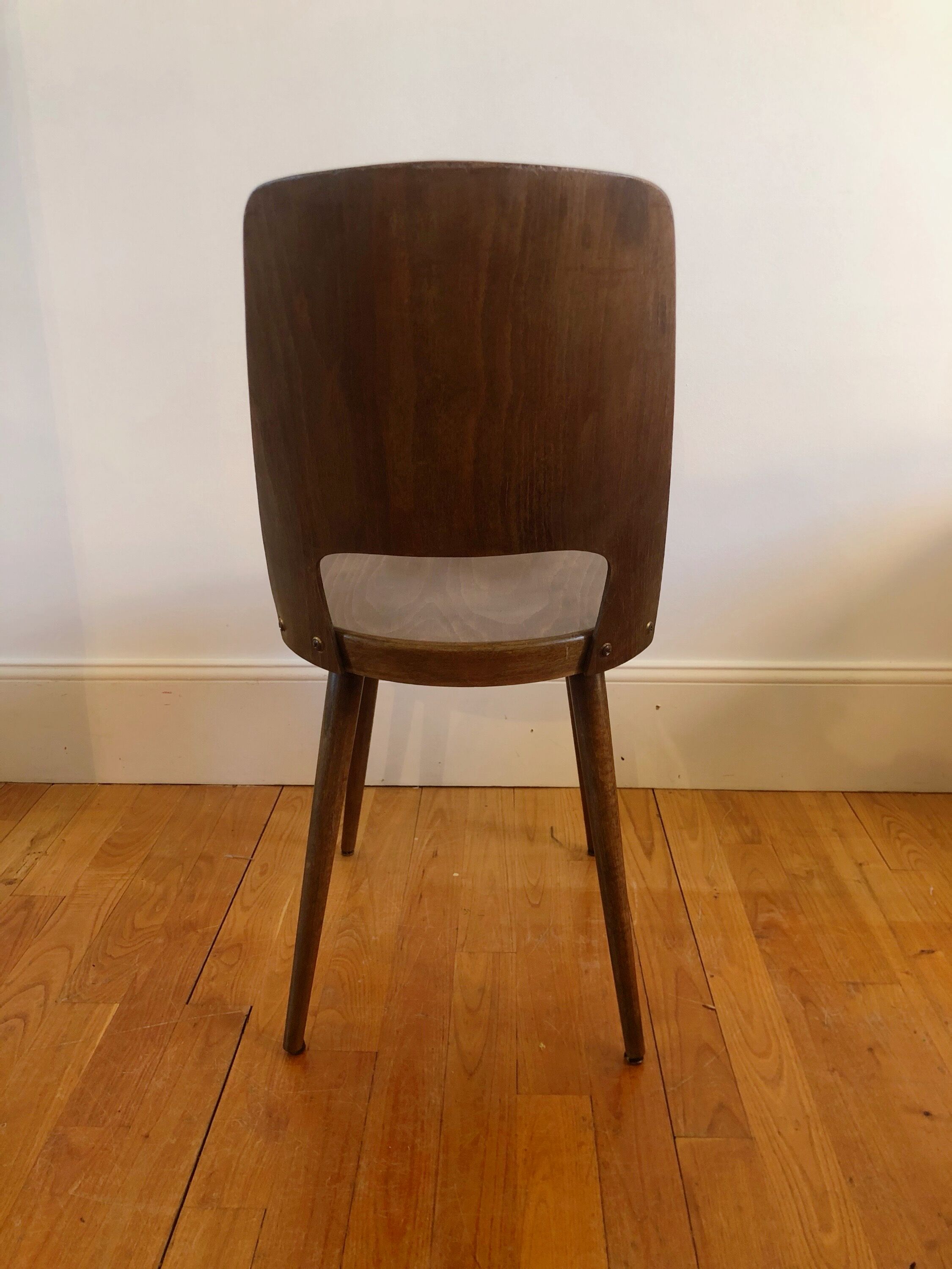 Pair of Chairs Baumann model Mondor