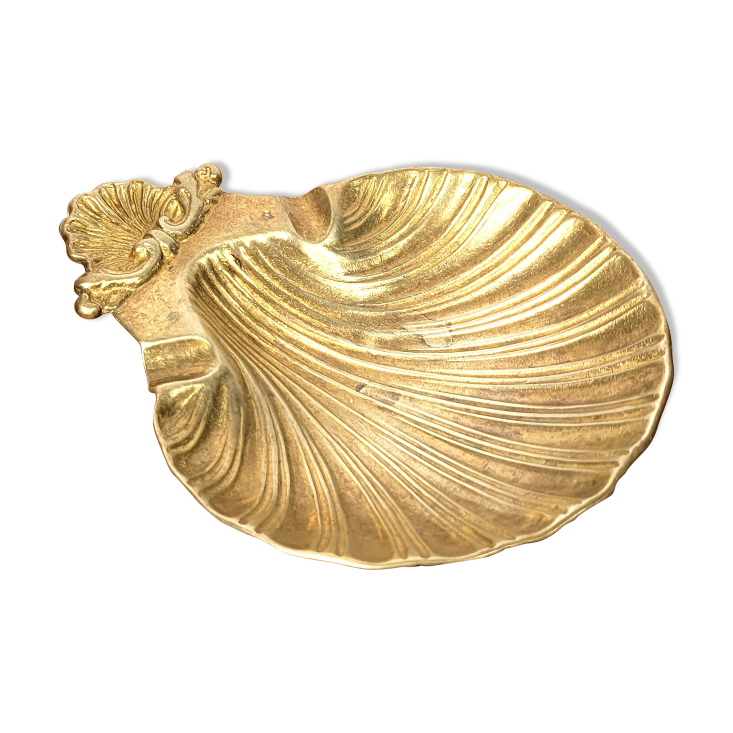 Empty brass shell pocket