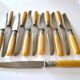 Series of 12 art nouveau knives in steel and beige bakelite 1900-1910