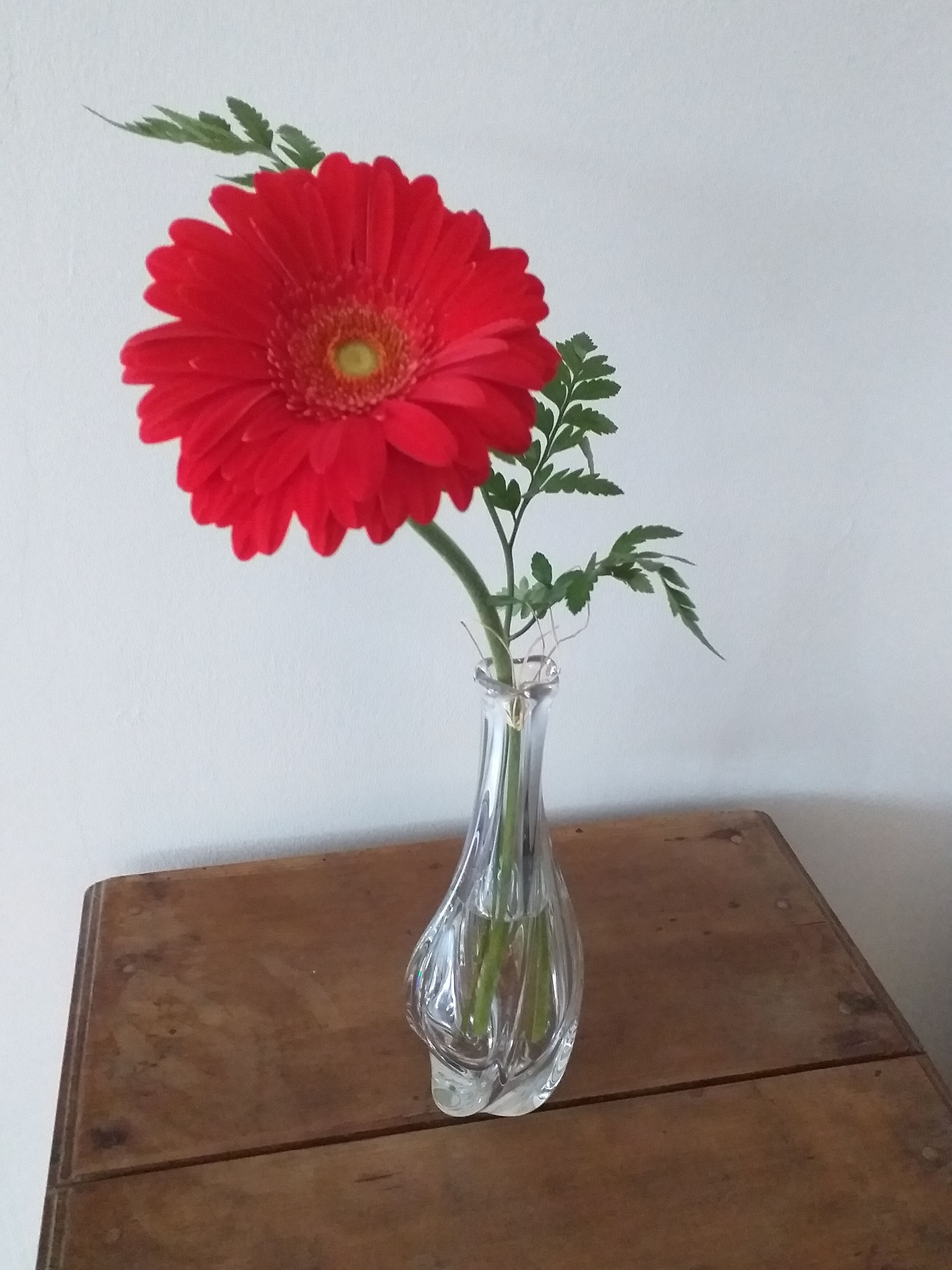St. Louis crystal twisted soliflore vase