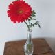 St. Louis crystal twisted soliflore vase