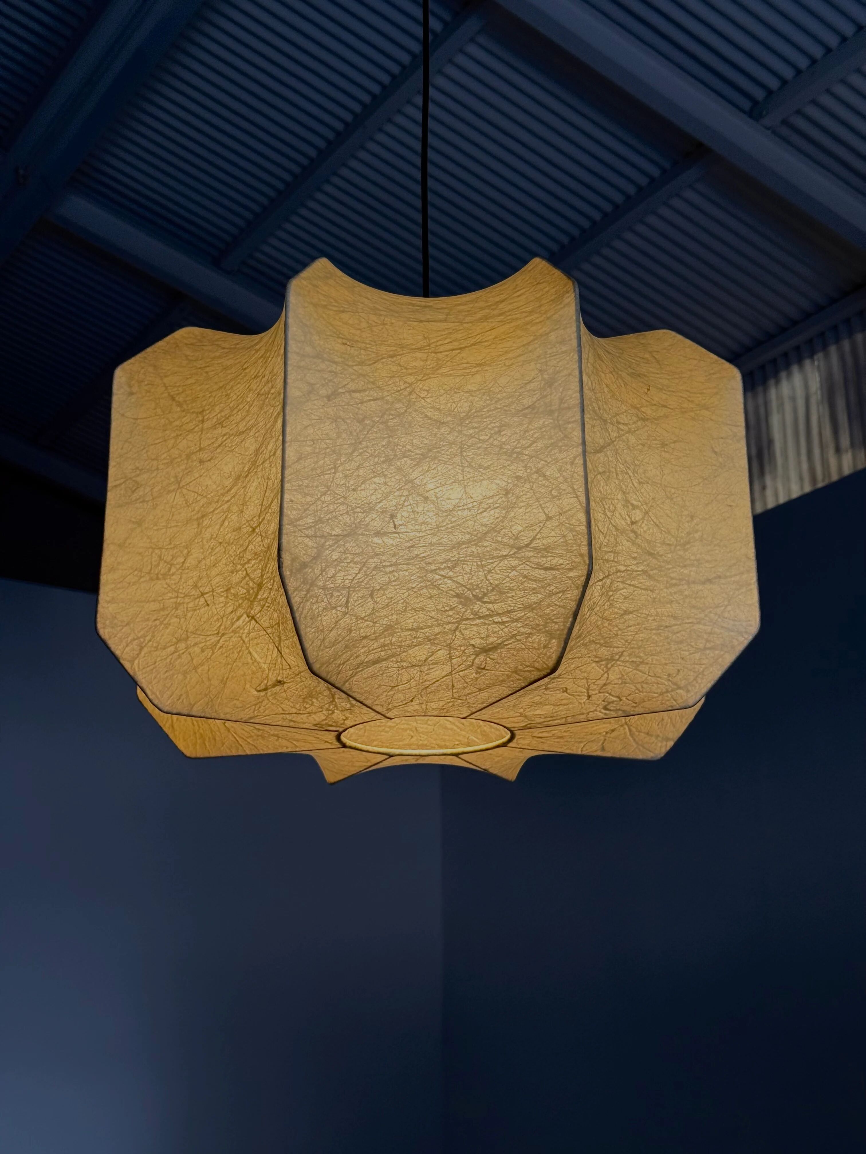 Achille & Pier Giacomo Castiglioni Cocoon pendant lamp