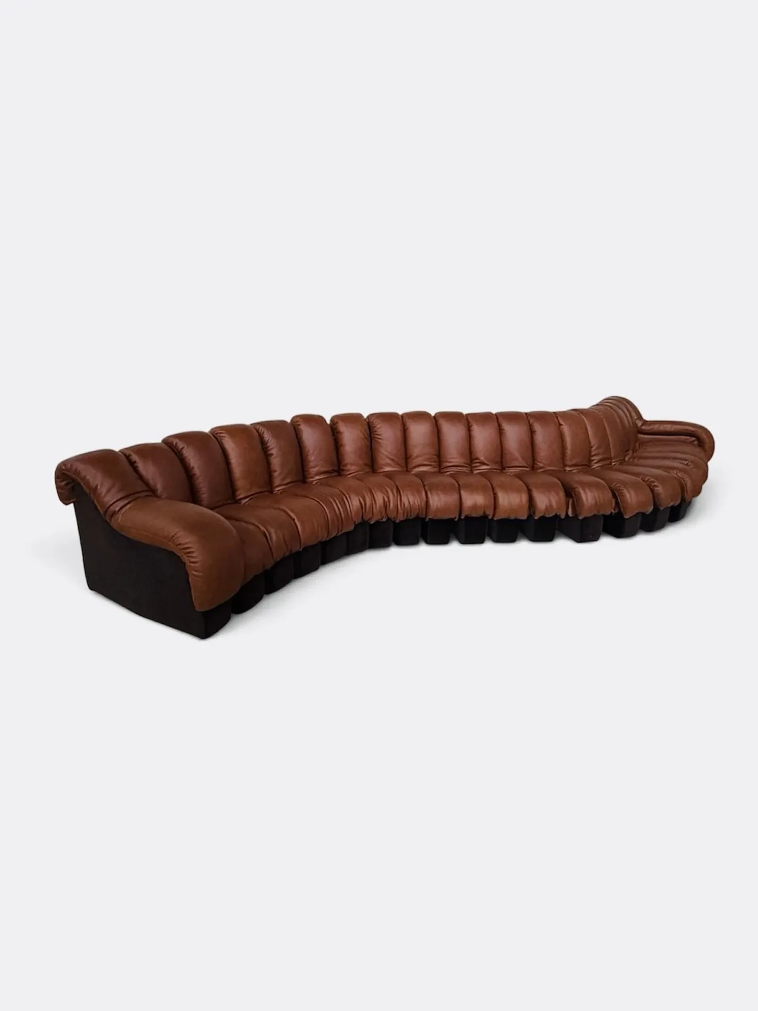 De Sede Ds600 Snake in cognac leather, 20 elements (in NEW CONDITION)!
