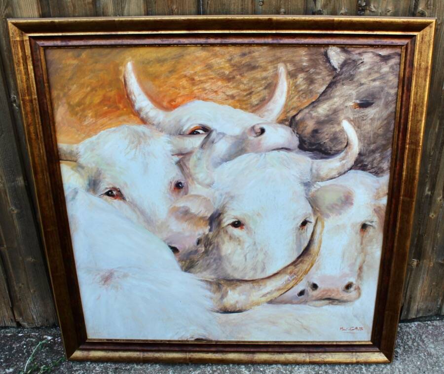 Painting Oil on panel "Charolais cattle"