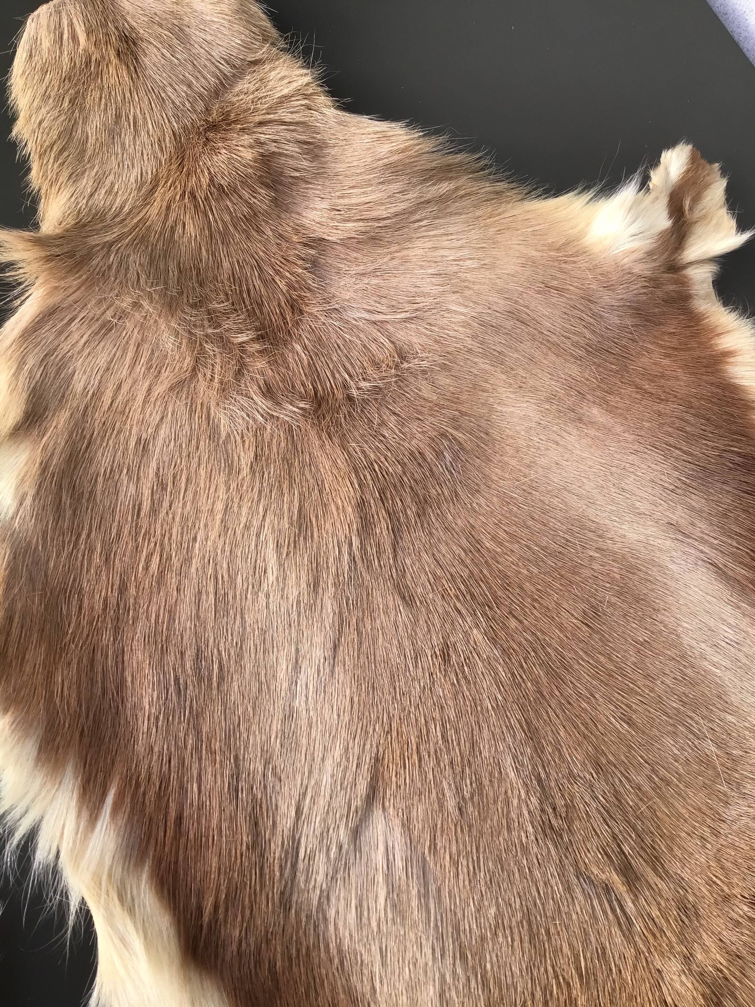 Set of 2 beige goat skins