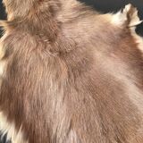 Set of 2 beige goat skins