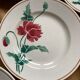 Luxury dessert plates poppies Luxeuil hbcm