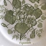 Set of 2 Glen plates with botanical decor