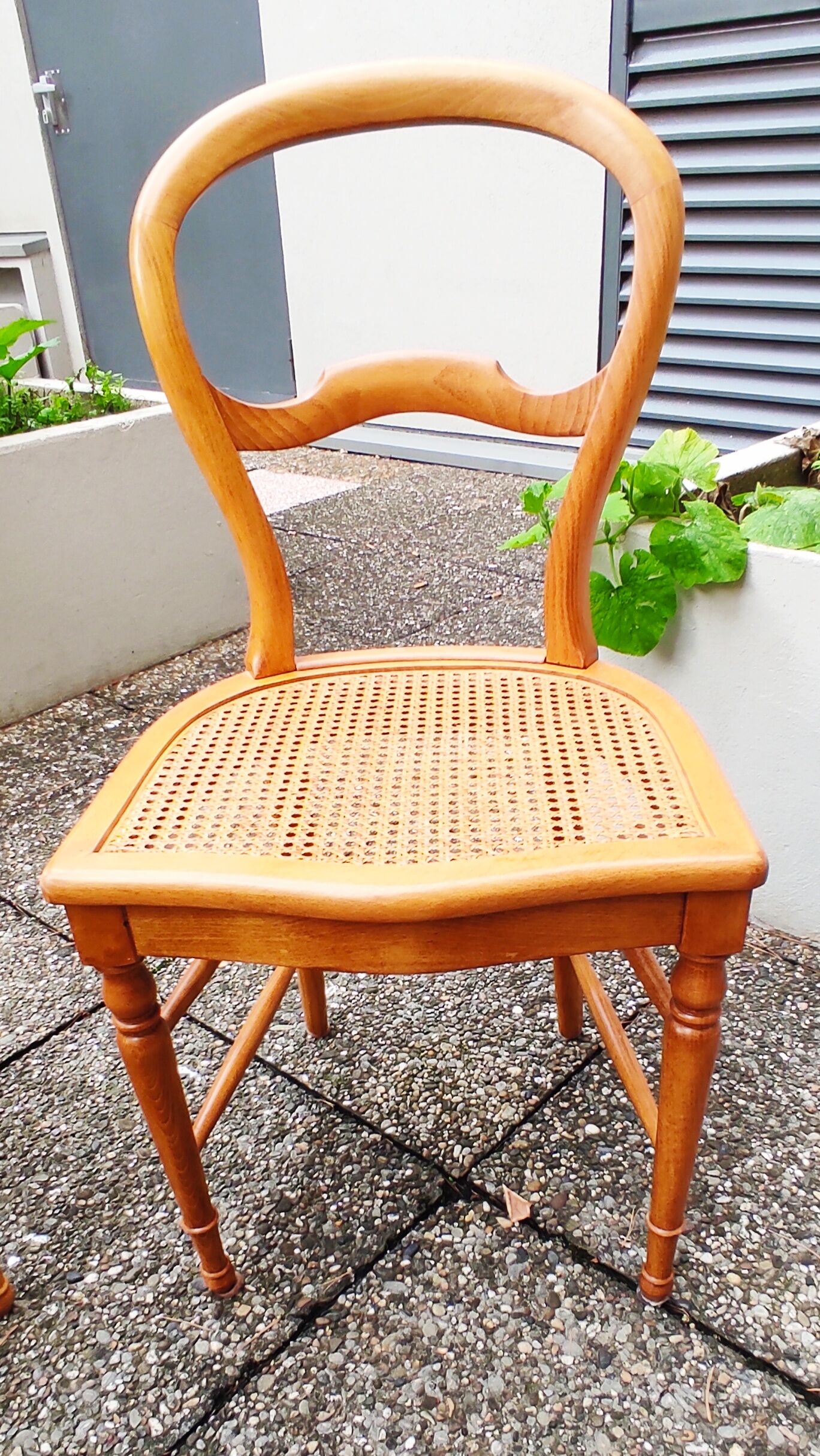 Set of 4 dining room chairs in solid birch wood and cannage; louis philippe style, very b