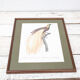 Engraving bird of paradise parrot jacques barraband