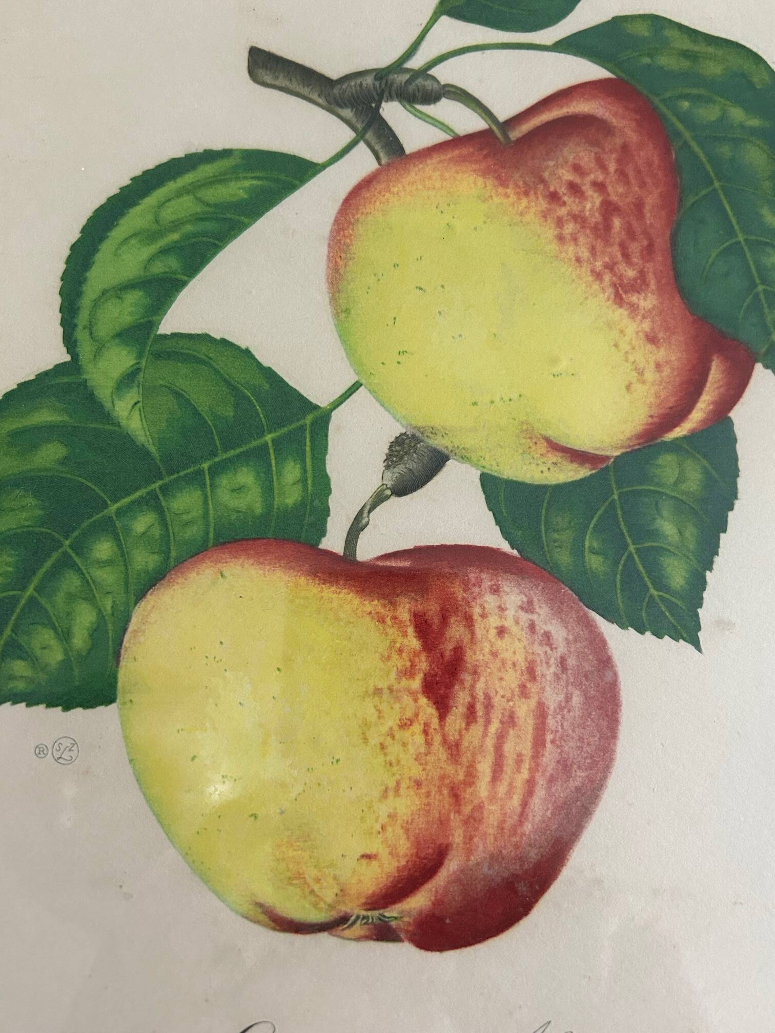 two lithographs sidney zoltan lucas