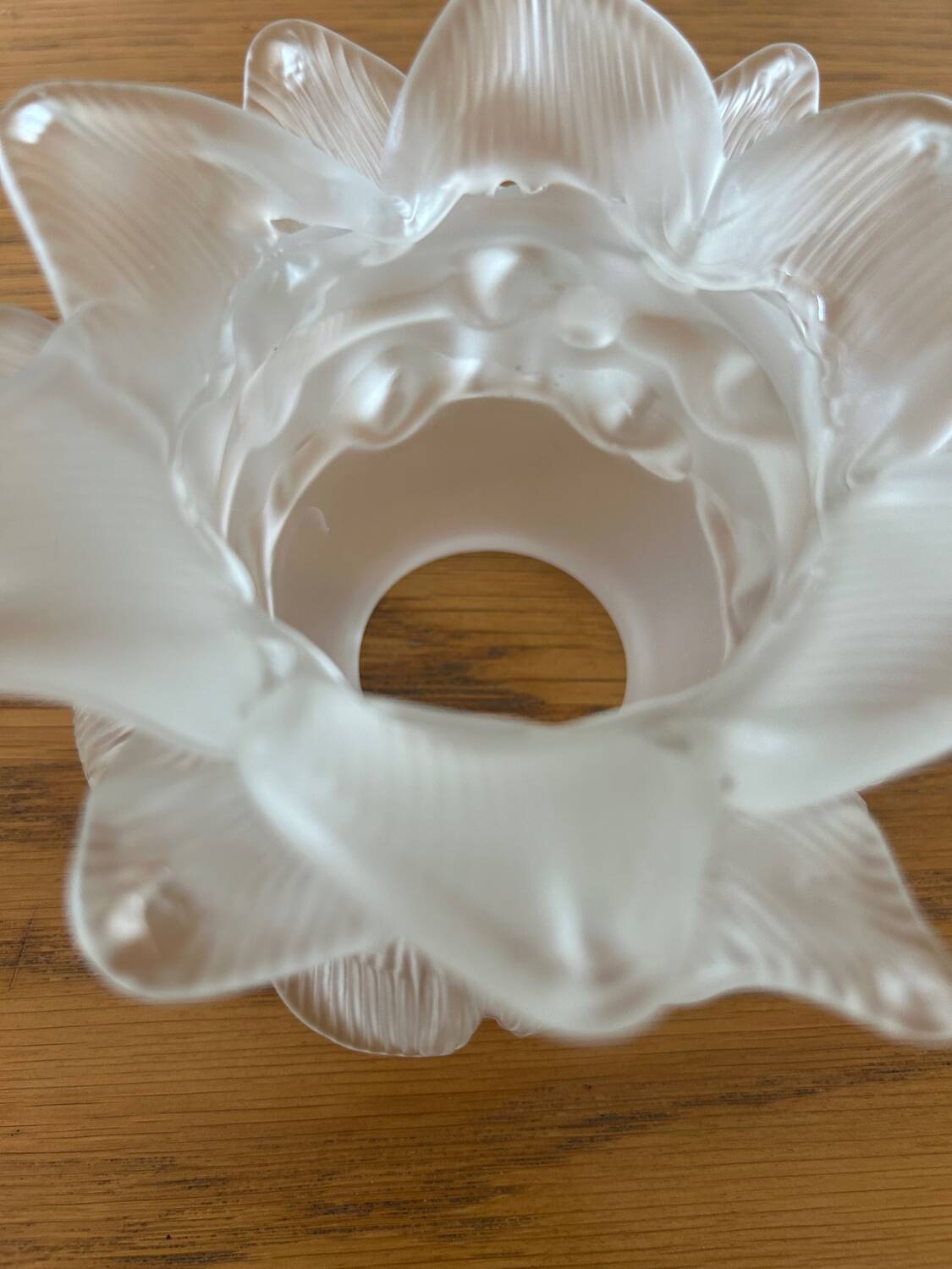 5 glass paste tulips