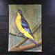 Painting the sparrow of Peru