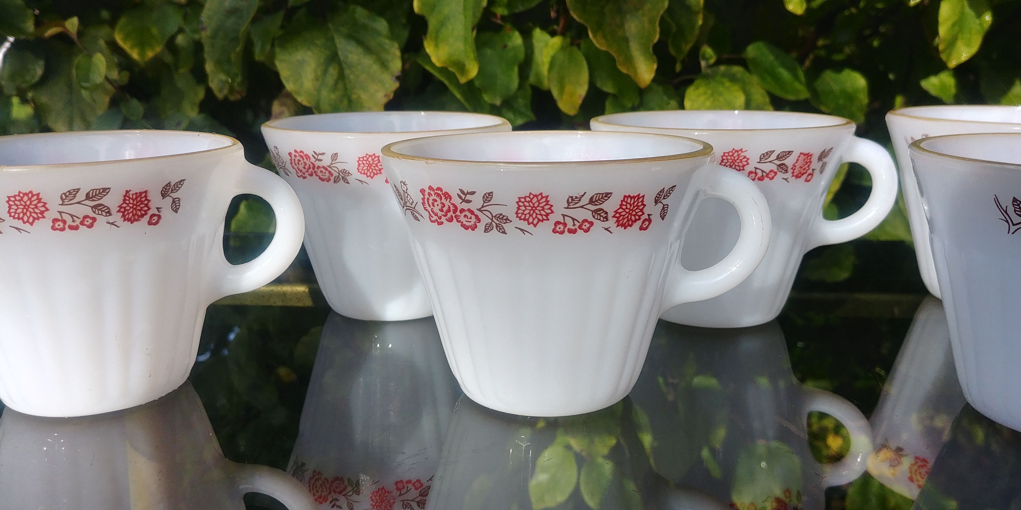 Set of 6 cups vintage Termocrisa Mexico in opaline, 60s