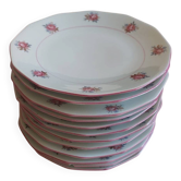 Splendide Lot de 12 Assiettes Octogonales Vintage – Style Moulin des Loups