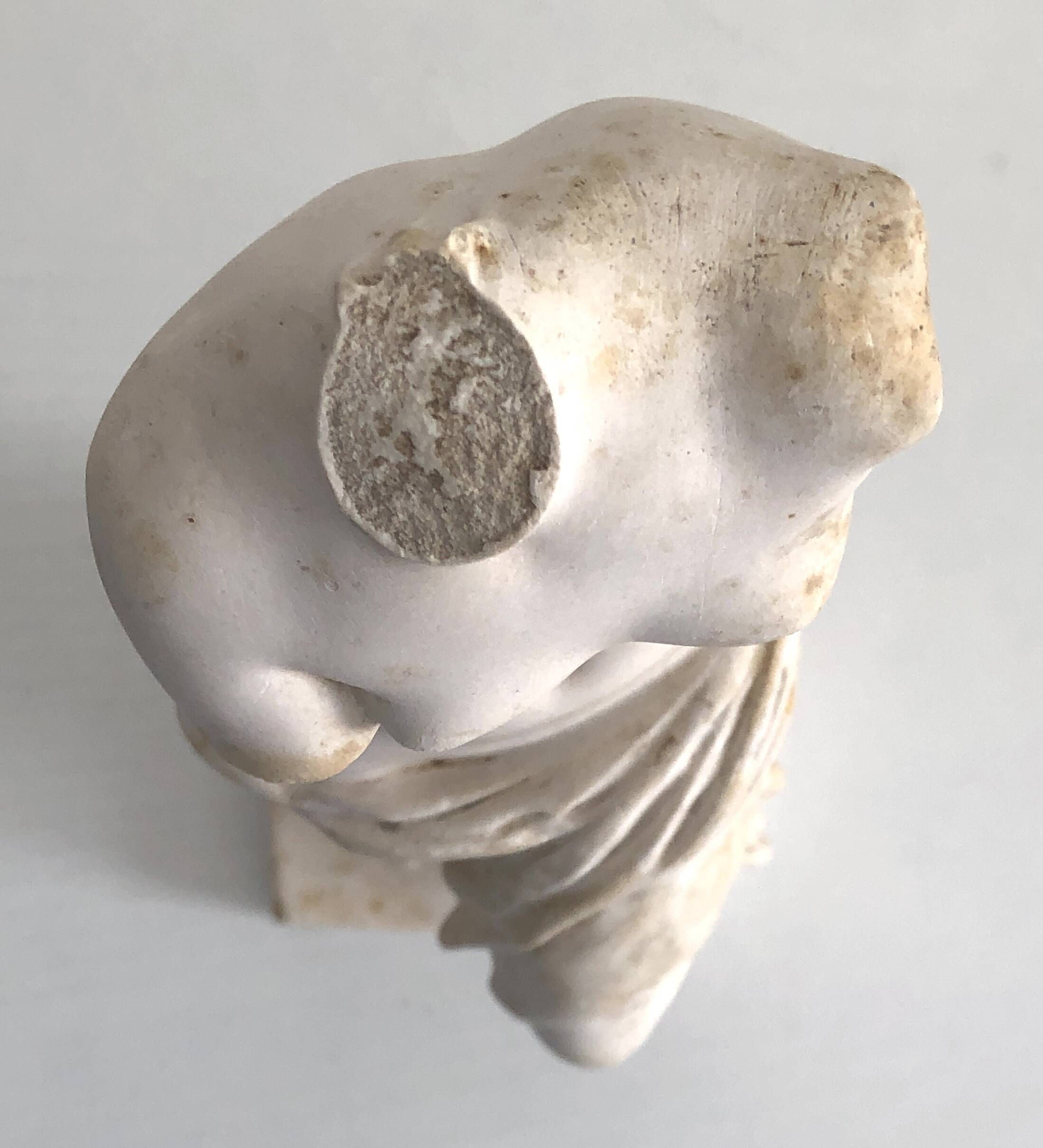 Vénus