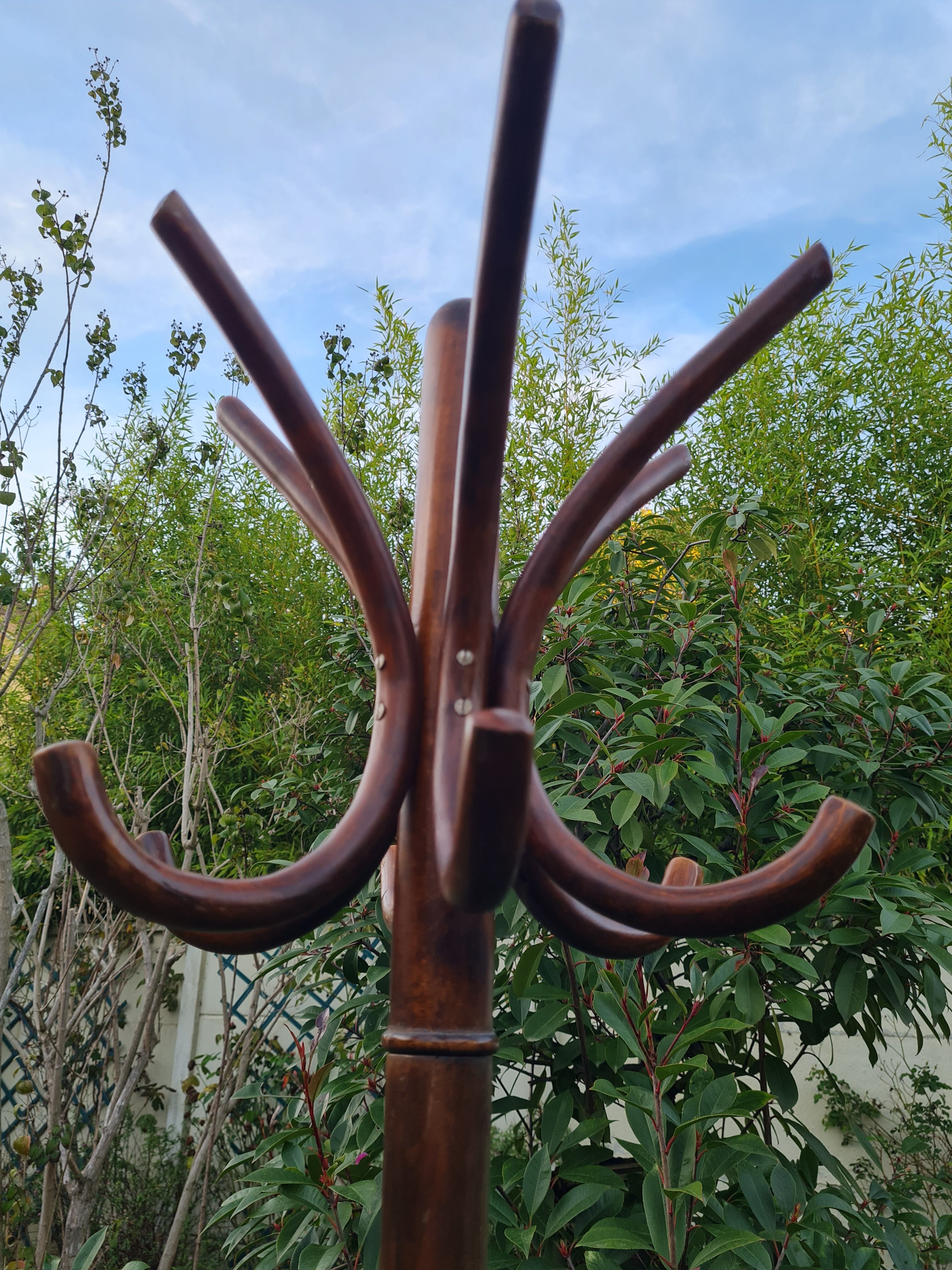 Vintage parrot coat rack