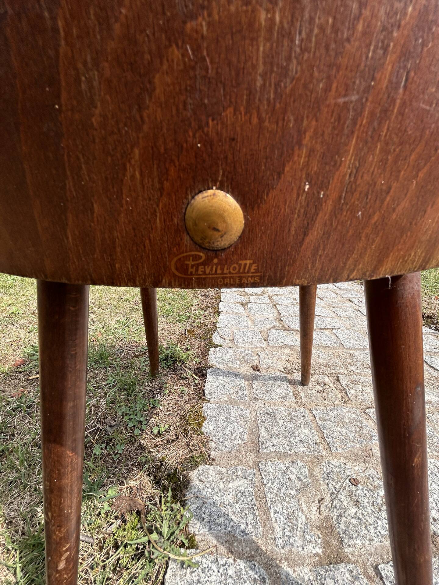 Baumann chair model Ants