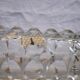 Vase Windsor de Luminarc