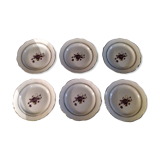 Series of six flat plates in Gien parmoence model Parma