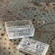 Transparent mold glass box with lid, vintage
