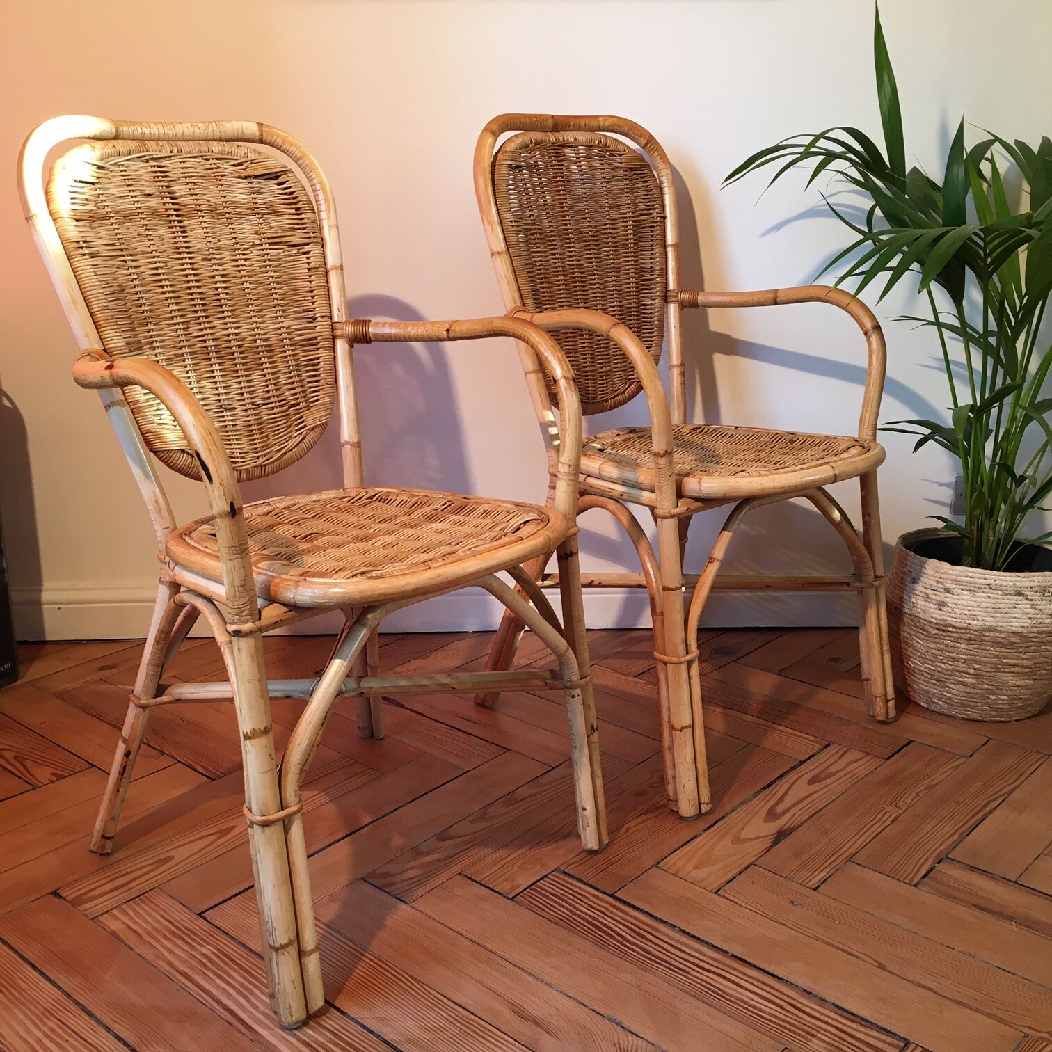 Lot of two light rattan chairs