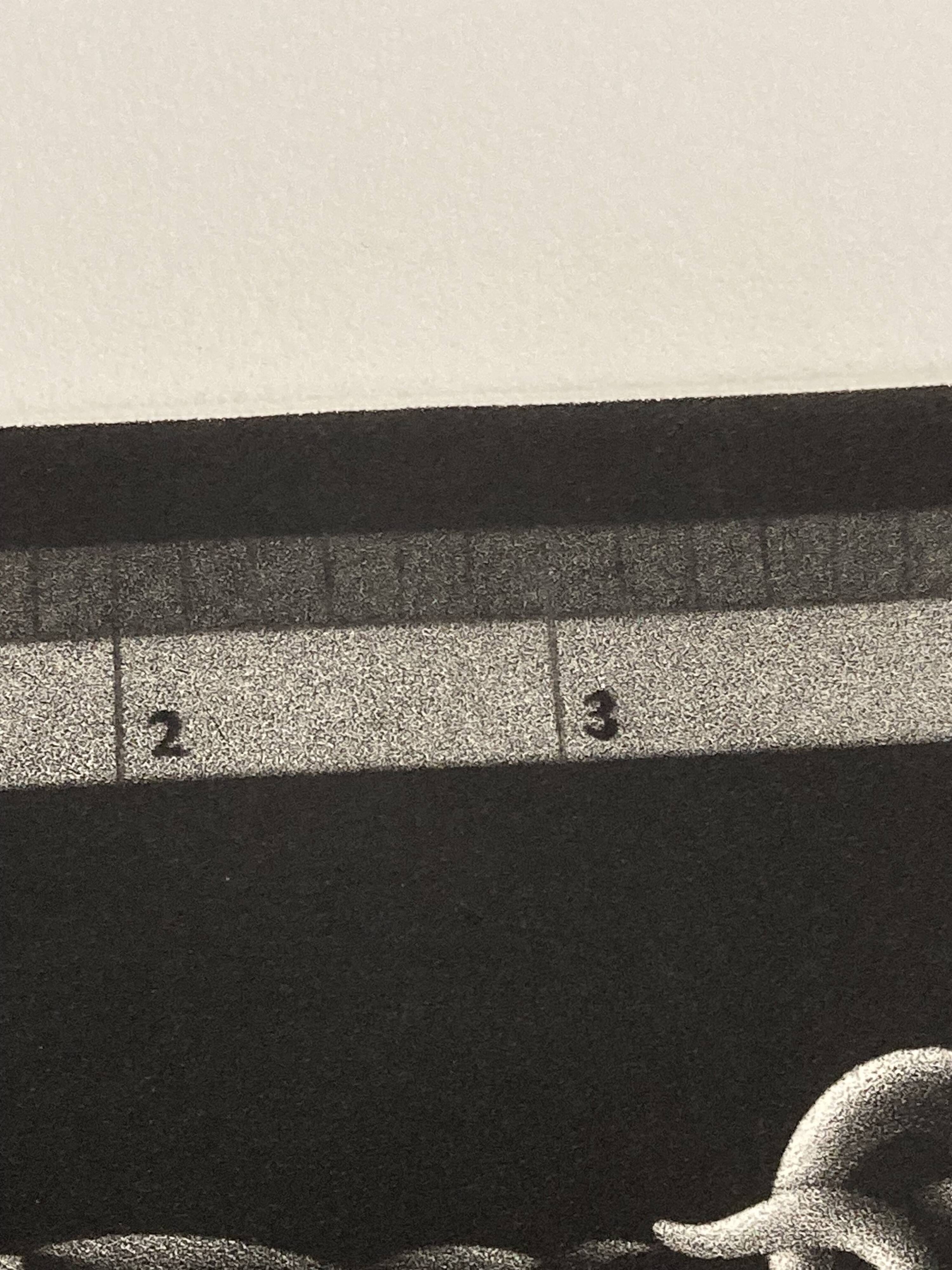 Mario avati (1921-2009), merinos, black manner, 1970