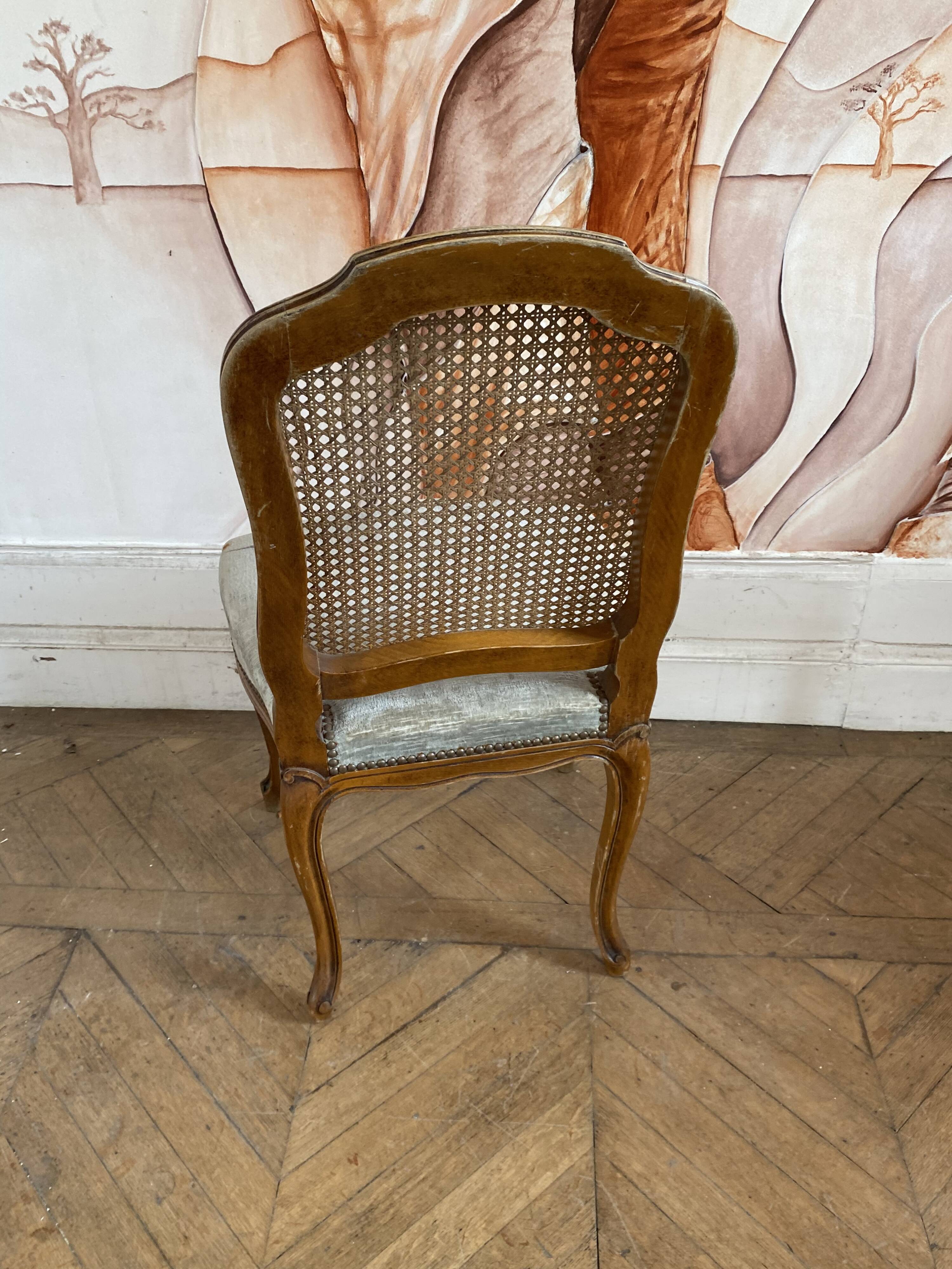 Canned chair Louis 15 style