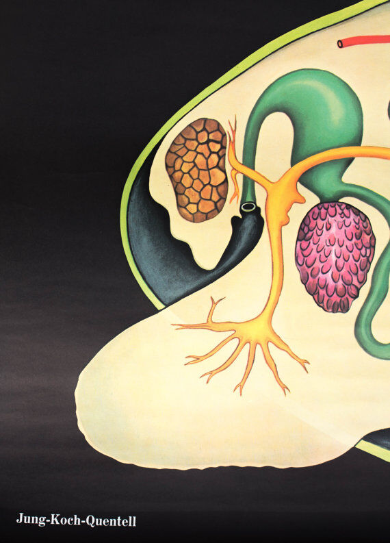 Poster from Jung-Koch-Quentell "mussels blue" 1970