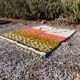 Tapis en laine fait main taille 150 x 250 cm