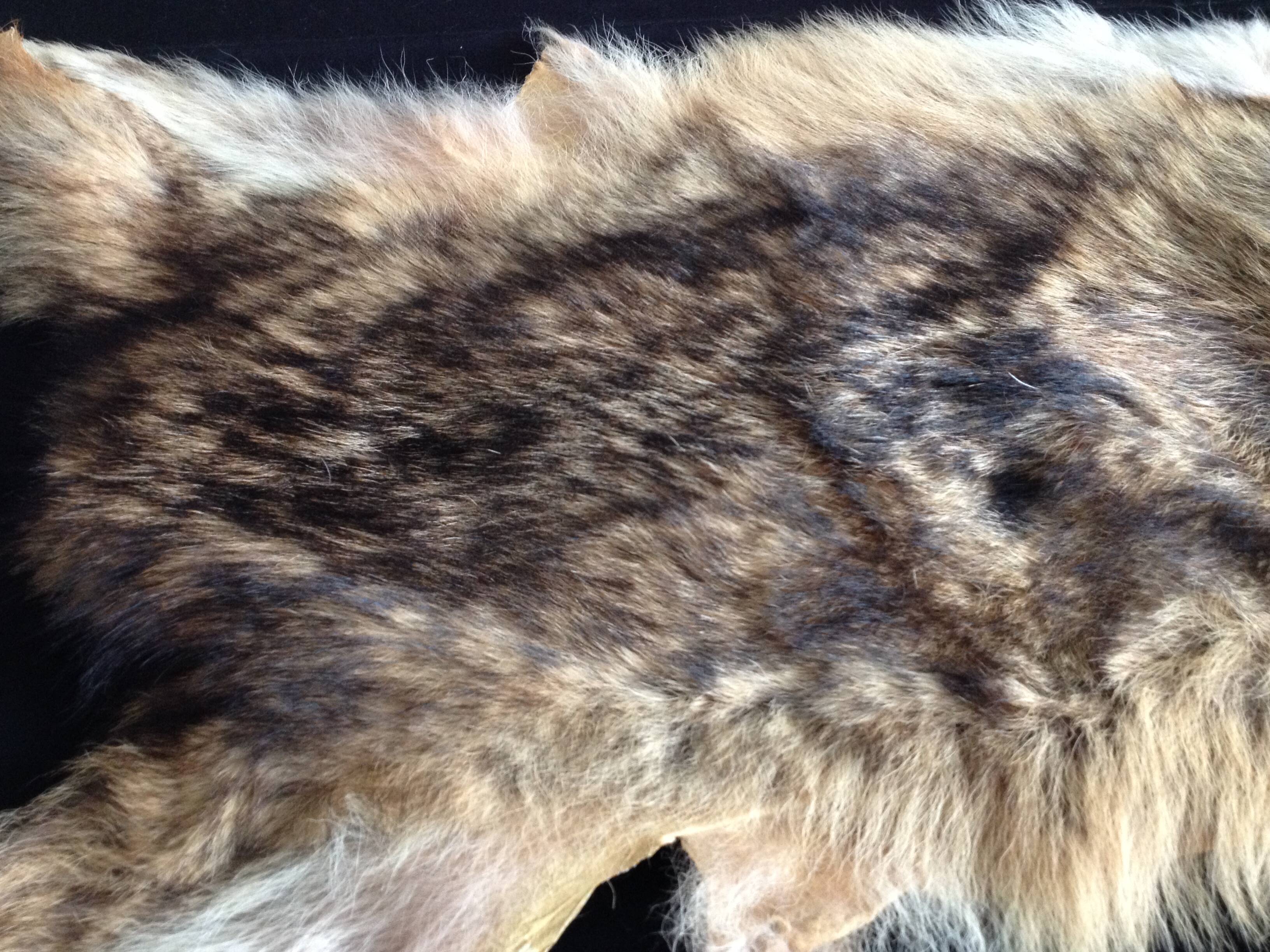 Vintage fox skin no. 1