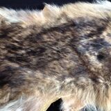 Vintage fox skin no. 1