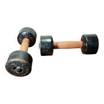 Pelga Dumbbells